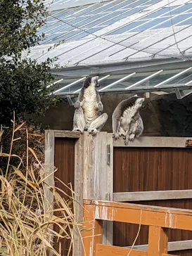 神戸どうぶつ王国に投稿された画像（2023/1/22）