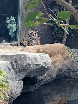 神戸どうぶつ王国に投稿された画像（2023/1/22）