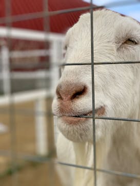 ワールド牧場に投稿された画像（2023/1/22）