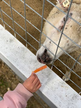 ワールド牧場に投稿された画像（2023/1/22）