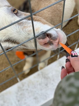 ワールド牧場に投稿された画像（2023/1/22）