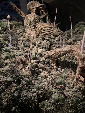 アニメージュとジブリ展に投稿された画像（2023/1/22）