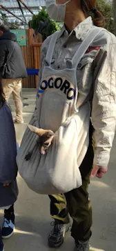 神戸どうぶつ王国に投稿された画像（2023/1/22）