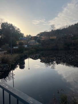 日本モンキーパークに投稿された画像（2023/1/22）