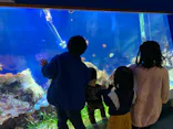 名古屋港水族館に投稿された画像（2023/1/22）