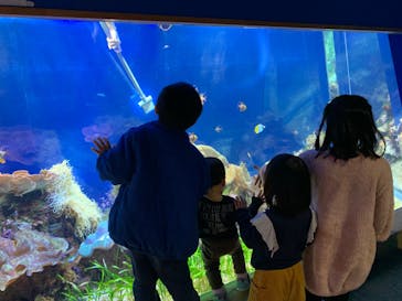 名古屋港水族館に投稿された画像（2023/1/22）