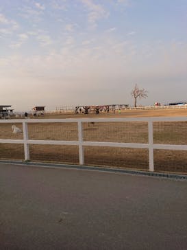 ワールド牧場に投稿された画像（2023/1/22）