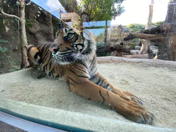 神戸どうぶつ王国に投稿された画像（2023/1/22）