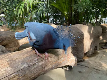 神戸どうぶつ王国に投稿された画像（2023/1/22）