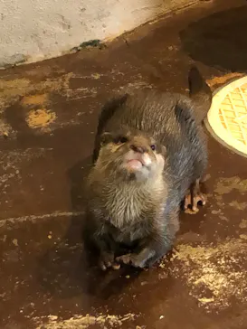 ひらかたパークに投稿された画像（2023/1/22）