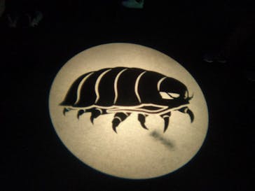 サンシャイン水族館に投稿された画像（2023/1/22）