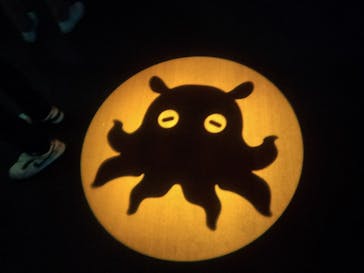 サンシャイン水族館に投稿された画像（2023/1/22）