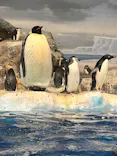 名古屋港水族館に投稿された画像（2023/1/22）