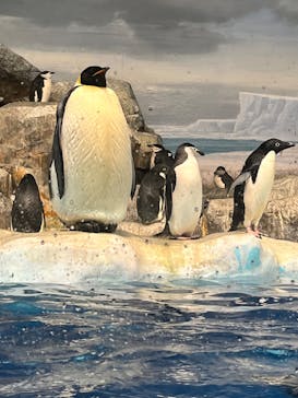 名古屋港水族館に投稿された画像（2023/1/22）