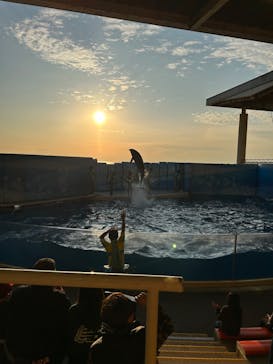 新江ノ島水族館に投稿された画像（2023/1/22）