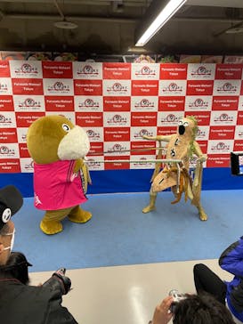 ふるさと祭り東京に投稿された画像（2023/1/22）