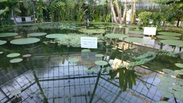 熱川バナナワニ園に投稿された画像（2023/1/22）