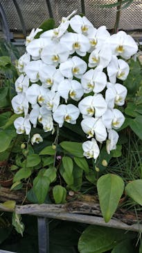 熱川バナナワニ園に投稿された画像（2023/1/22）