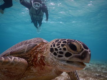 宮古島マリン SUGAR3（シュガースリー）に投稿された画像（2023/1/22）