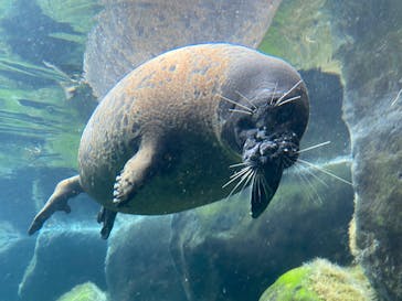 箱根園水族館に投稿された画像（2023/1/22）