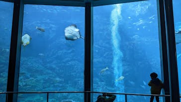 下田海中水族館に投稿された画像（2023/1/22）