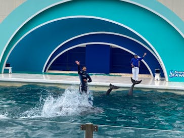 鴨川シーワールドに投稿された画像（2023/1/22）