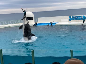 鴨川シーワールドに投稿された画像（2023/1/22）