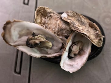 ふるさと祭り東京に投稿された画像（2023/1/22）