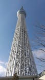 東京スカイツリーに投稿された画像（2023/1/22）