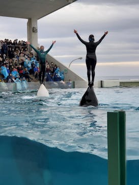 鴨川シーワールドに投稿された画像（2023/1/22）