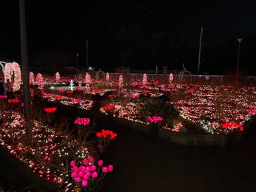 大阪府立花の文化園に投稿された画像（2023/1/22）