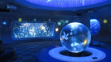 新江ノ島水族館に投稿された画像（2023/1/22）