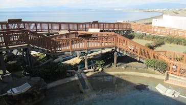 新江ノ島水族館に投稿された画像（2023/1/22）