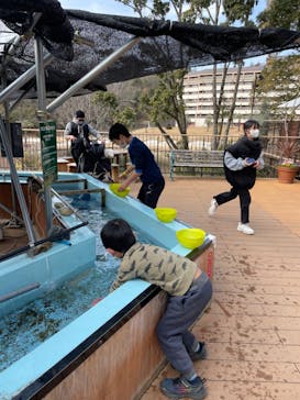 NESTA RESORT KOBE（ネスタリゾート神戸）に投稿された画像（2023/1/22）