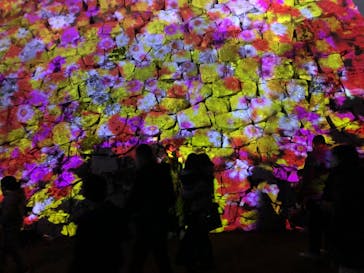 福山城400年博-FUKUYAMA CASTLE EXPO 2022- RCC開局70年 「チームラボ 福山城 光の祭」に投稿された画像（2023/1/22）