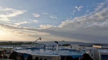 沖縄美ら海水族館に投稿された画像（2023/1/22）