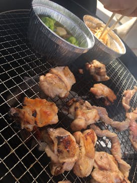 NESTA RESORT KOBE（ネスタリゾート神戸）に投稿された画像（2023/1/22）