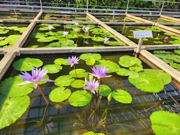 熱川バナナワニ園に投稿された画像（2023/1/22）