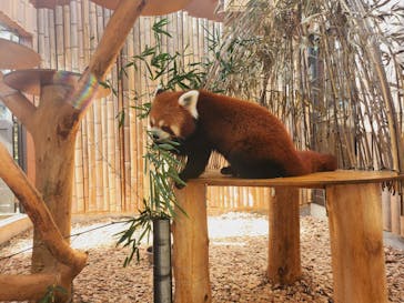 熱川バナナワニ園に投稿された画像（2023/1/22）