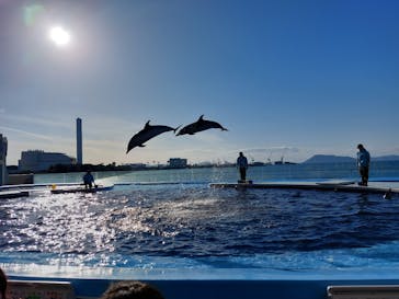 四国水族館に投稿された画像（2023/1/22）