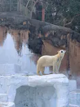 天王寺動物園に投稿された画像（2023/1/22）