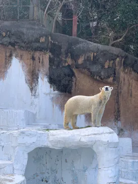 天王寺動物園に投稿された画像（2023/1/22）