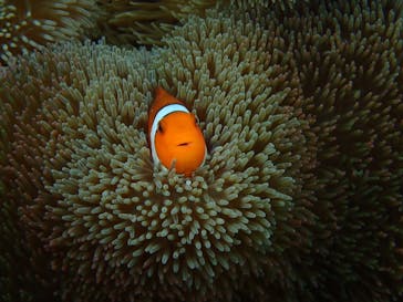 宮古島 ADVENTURE PiPi（ミヤコジマ アドベンチャー ピピ）に投稿された画像（2023/1/22）