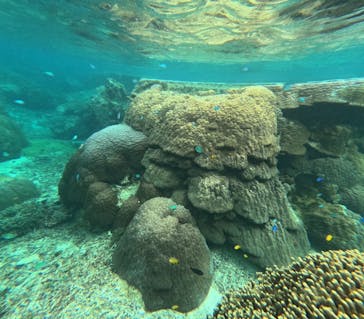 宮古島 ADVENTURE PiPi（ミヤコジマ アドベンチャー ピピ）に投稿された画像（2023/1/22）