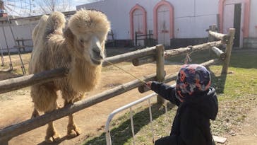 東武動物公園に投稿された画像（2023/1/22）