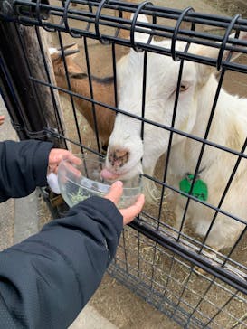 東武動物公園に投稿された画像（2023/1/22）