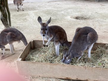 東武動物公園に投稿された画像（2023/1/22）