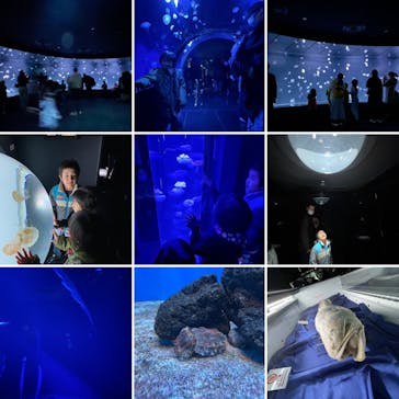 サンシャイン水族館に投稿された画像（2023/1/22）