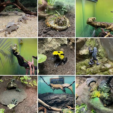 サンシャイン水族館に投稿された画像（2023/1/22）