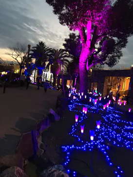 ひらかたパークに投稿された画像（2023/1/22）